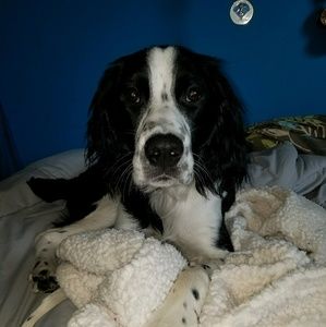 Meet your Posher, Kenna